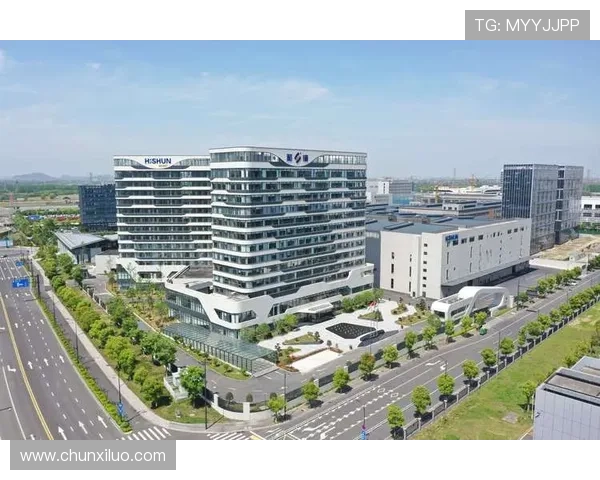 z6尊龙集团的企业文化与核心价值观深度解析